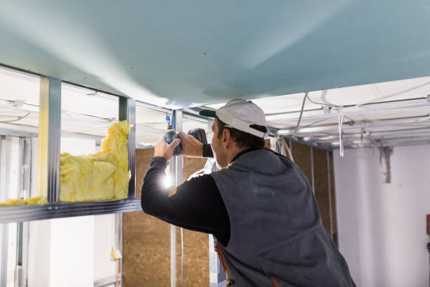 Best Eco-Friendly Insulation in Goodyear, AZ